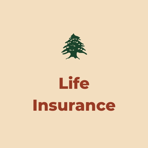 Life Insurance